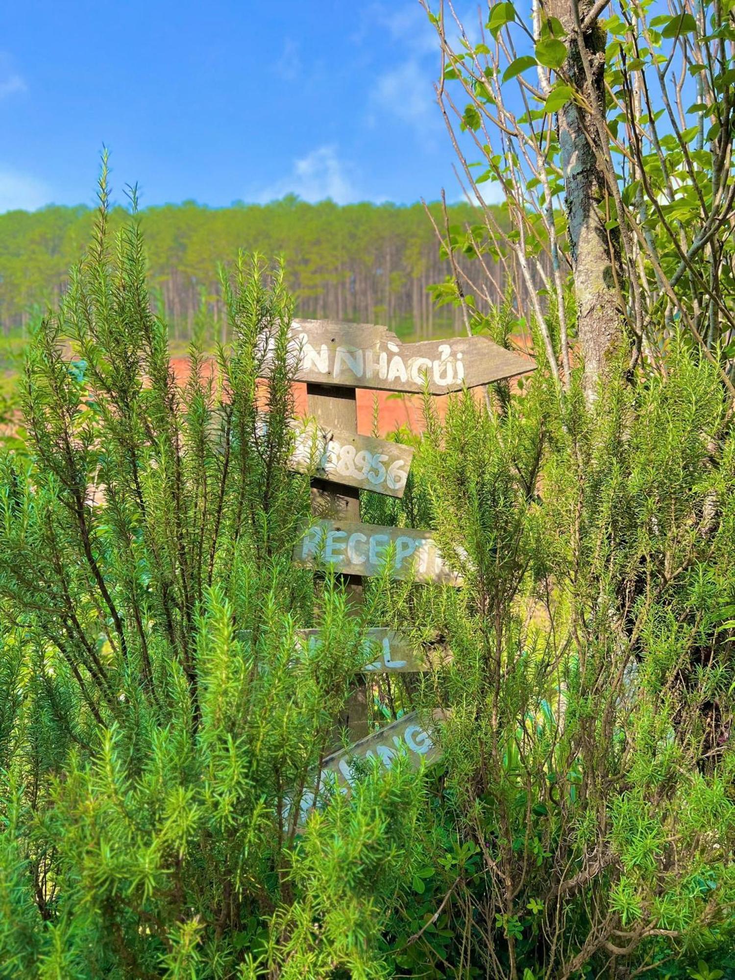 Vuon Nha Cui Homestay ดาลัด ภายนอก รูปภาพ