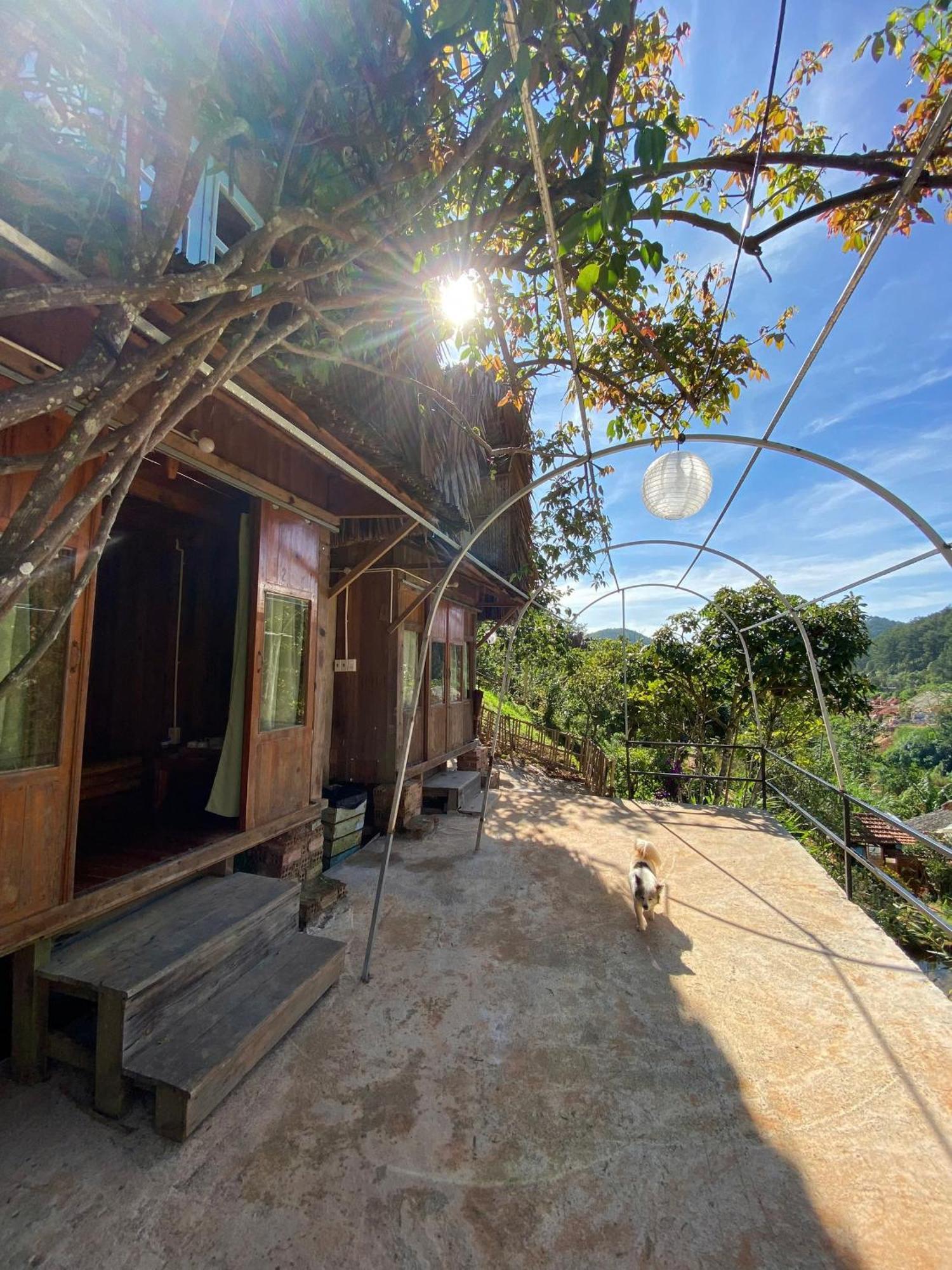 Vuon Nha Cui Homestay ดาลัด ภายนอก รูปภาพ