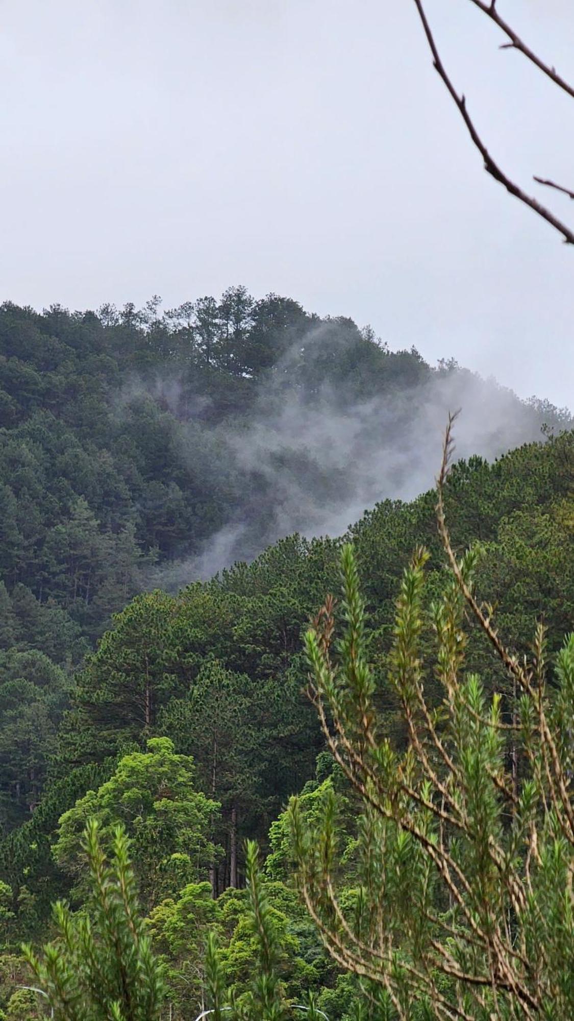 Vuon Nha Cui Homestay ดาลัด ภายนอก รูปภาพ