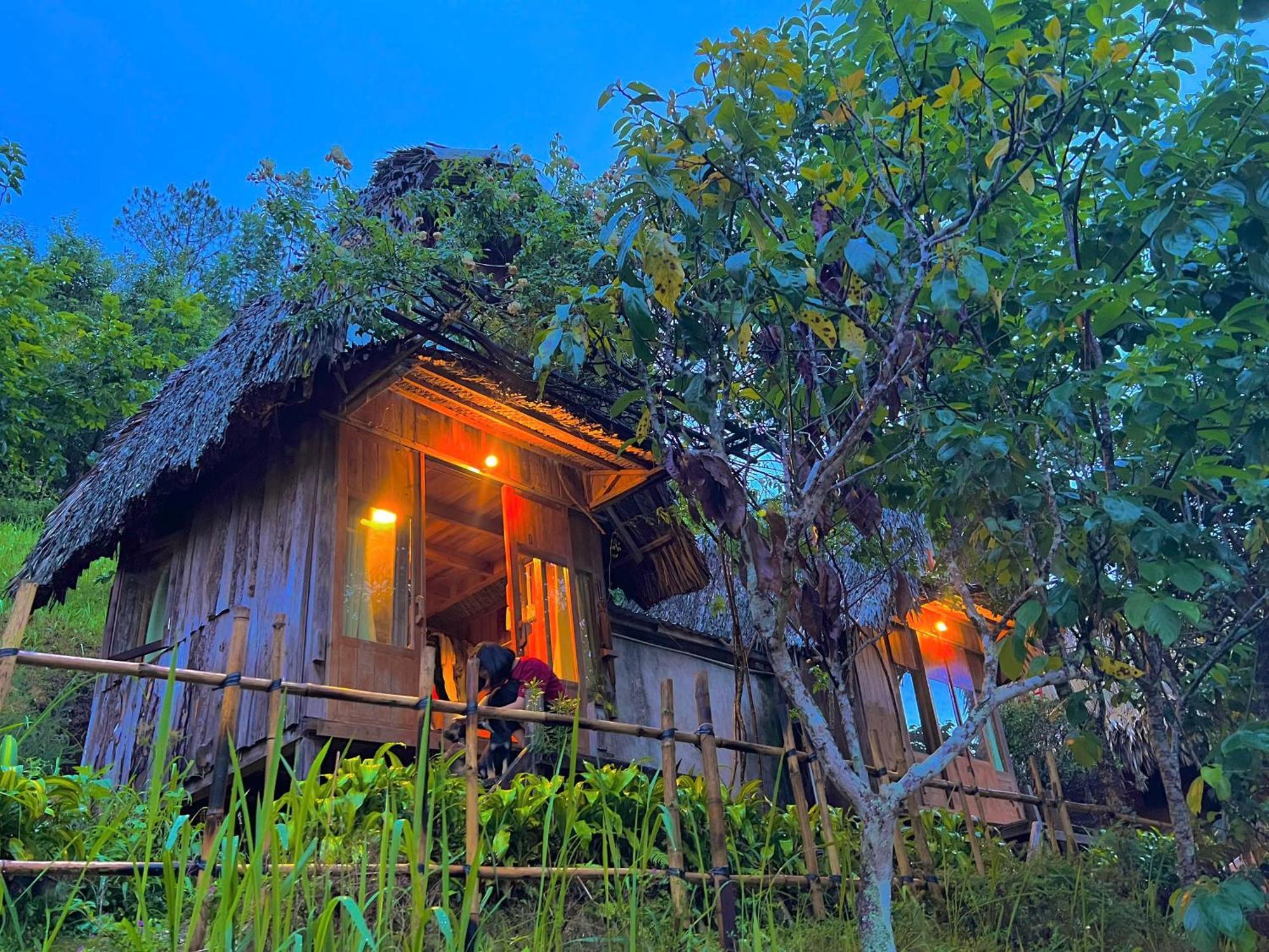 Vuon Nha Cui Homestay ดาลัด ภายนอก รูปภาพ