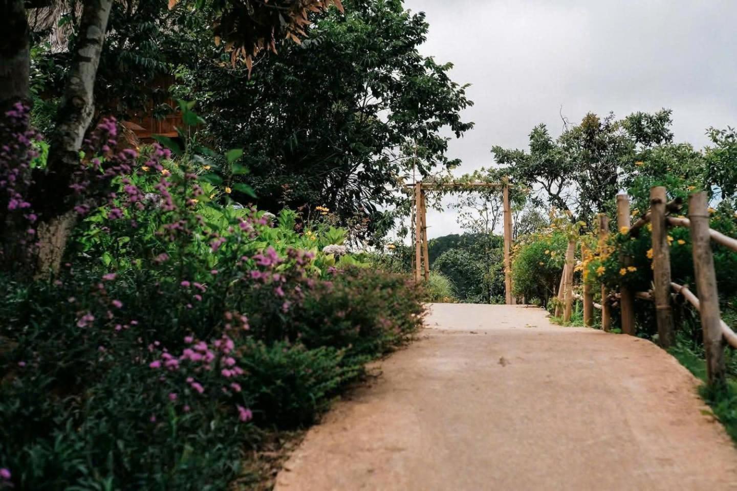 Vuon Nha Cui Homestay ดาลัด ภายนอก รูปภาพ