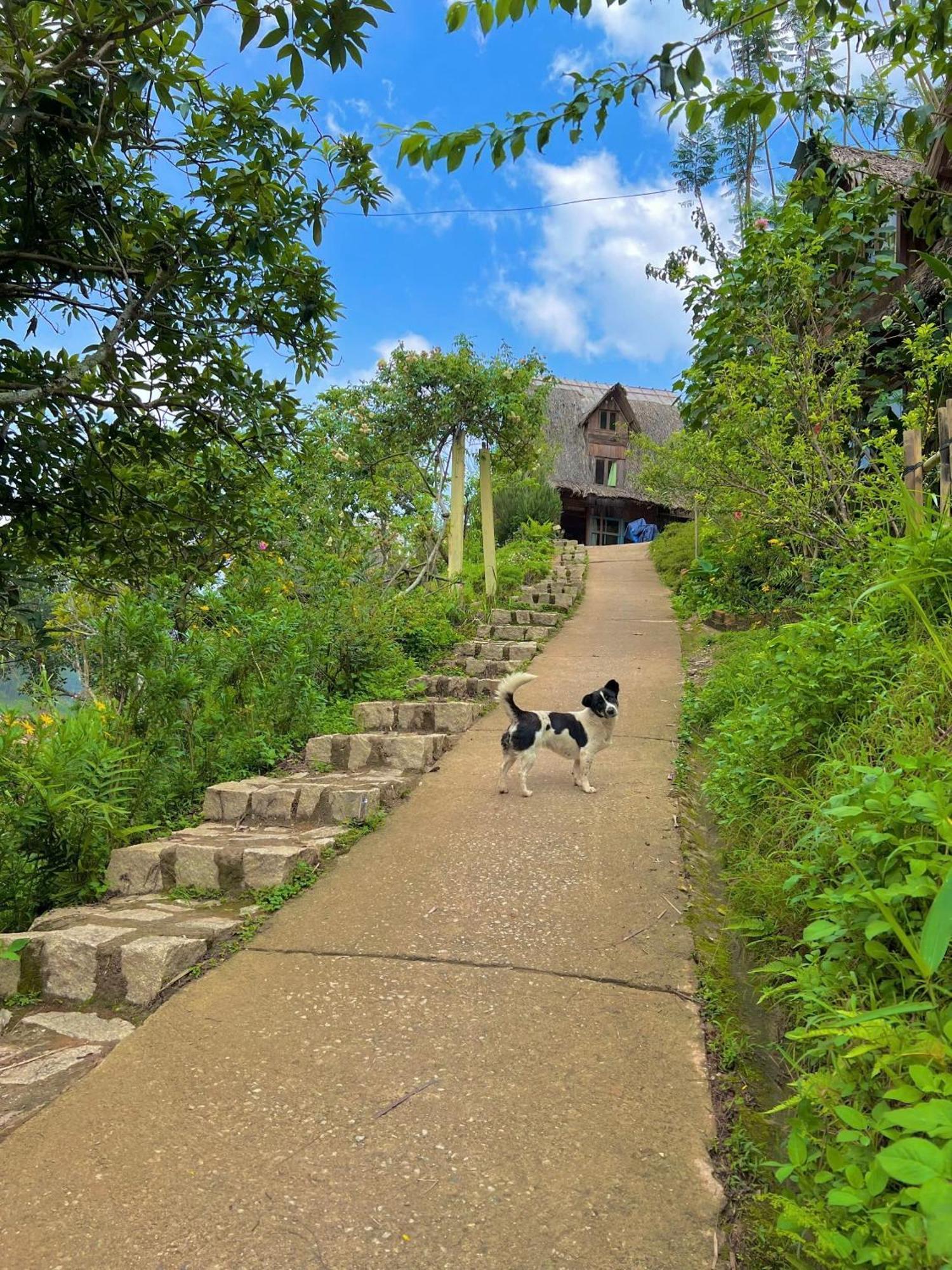 Vuon Nha Cui Homestay ดาลัด ภายนอก รูปภาพ