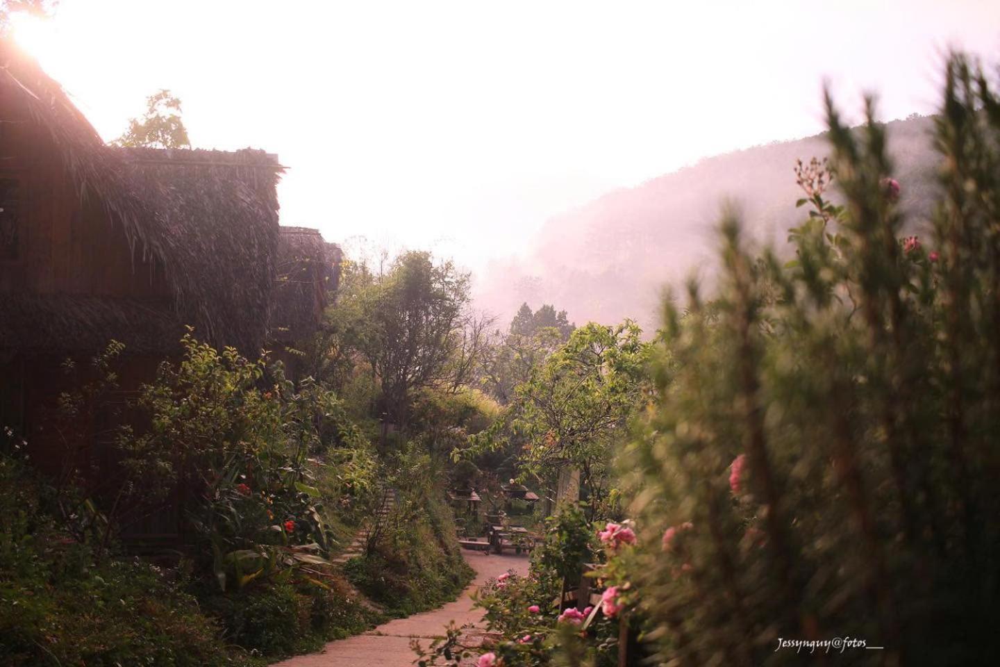 Vuon Nha Cui Homestay ดาลัด ภายนอก รูปภาพ
