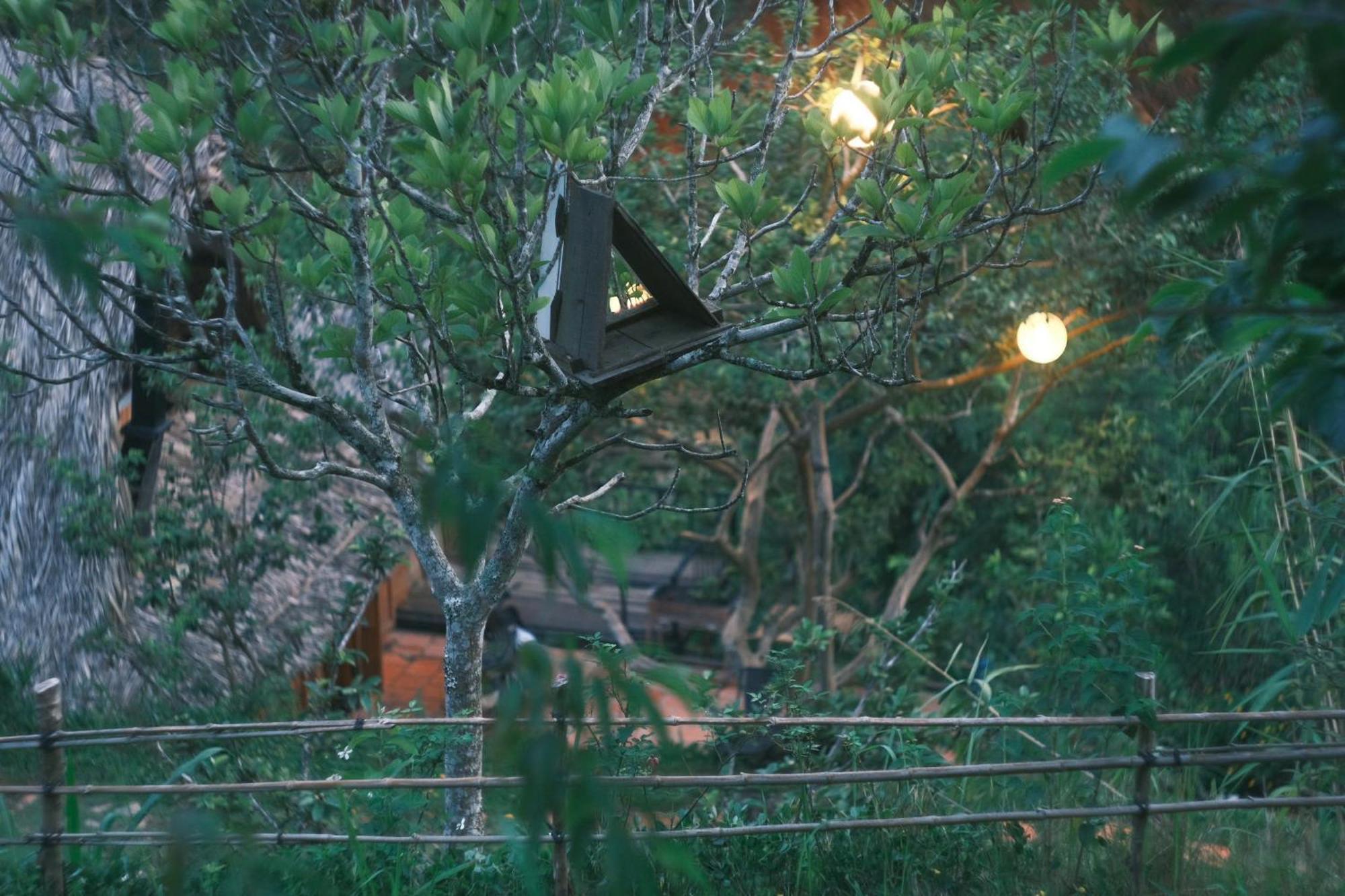 Vuon Nha Cui Homestay ดาลัด ภายนอก รูปภาพ